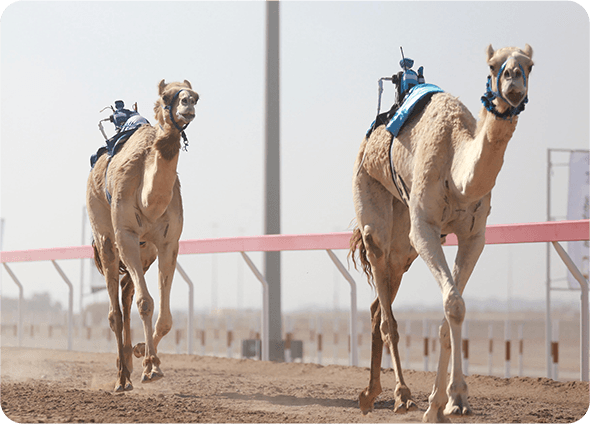 الازدهار الاقتصادي
