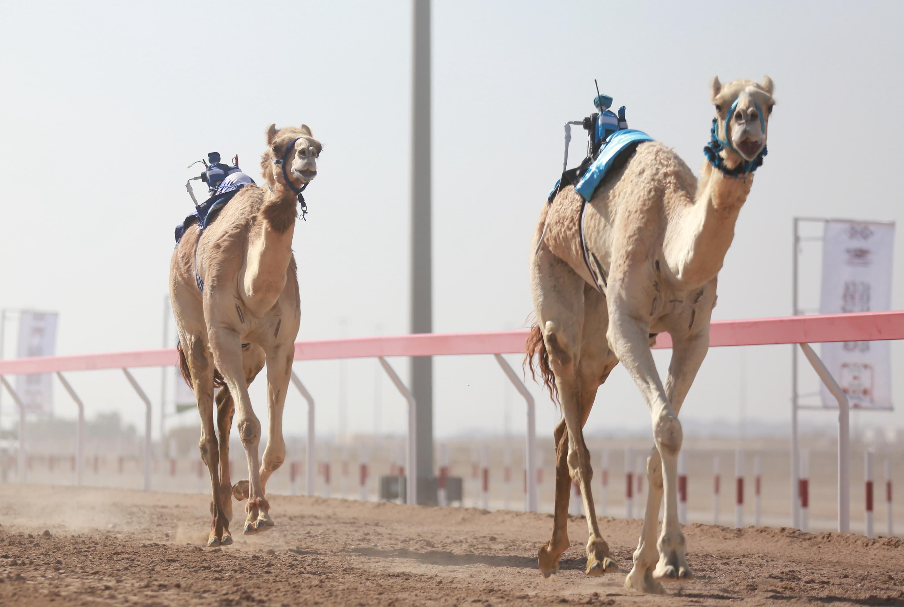 مركز الأخبار